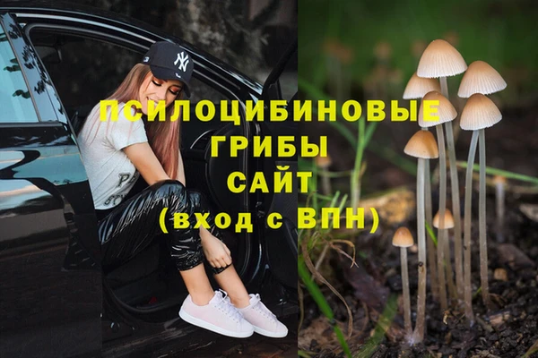 соль ск Надым