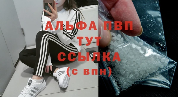соль ск Надым