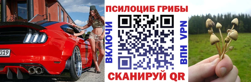 Галлюциногенные грибы ЛСД  Купить закладки  Рассказово 